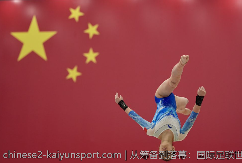从筹备到落幕：国际足联世界杯全流程解读