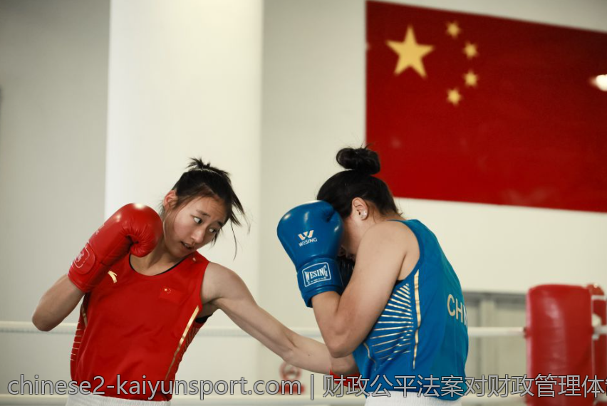 勒沃库森在阿隆索指挥下的战术创新与变化